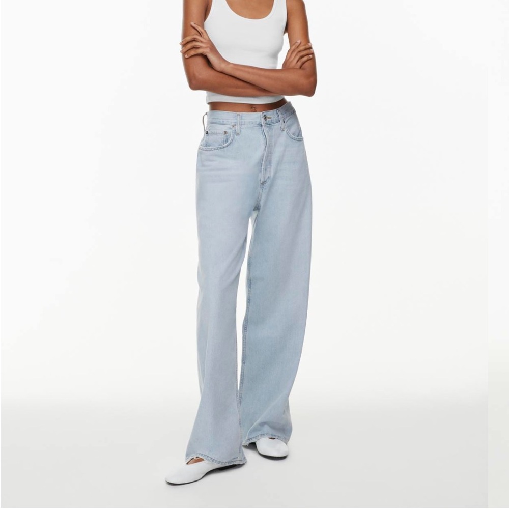 Aritzia AGOLDE color Fragment Low-Slung Baggy Jean
